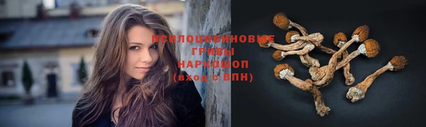 прущая мука Володарск