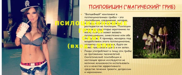 каннабис Вяземский